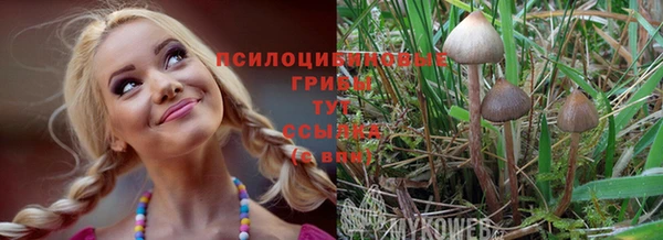 винт Абдулино