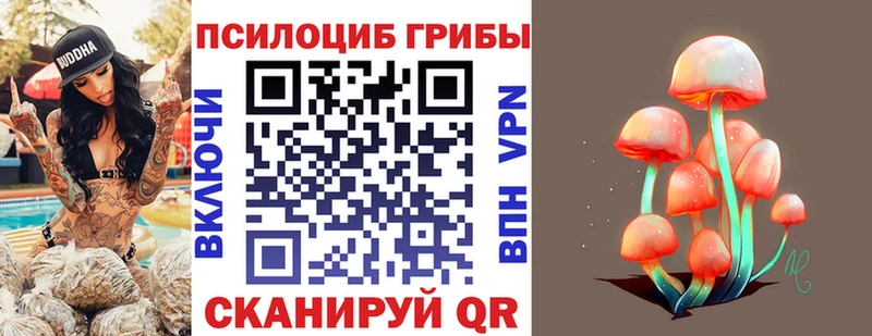 Галлюциногенные грибы MAGIC MUSHROOMS  наркотики  hydra ссылки  Новоуральск 